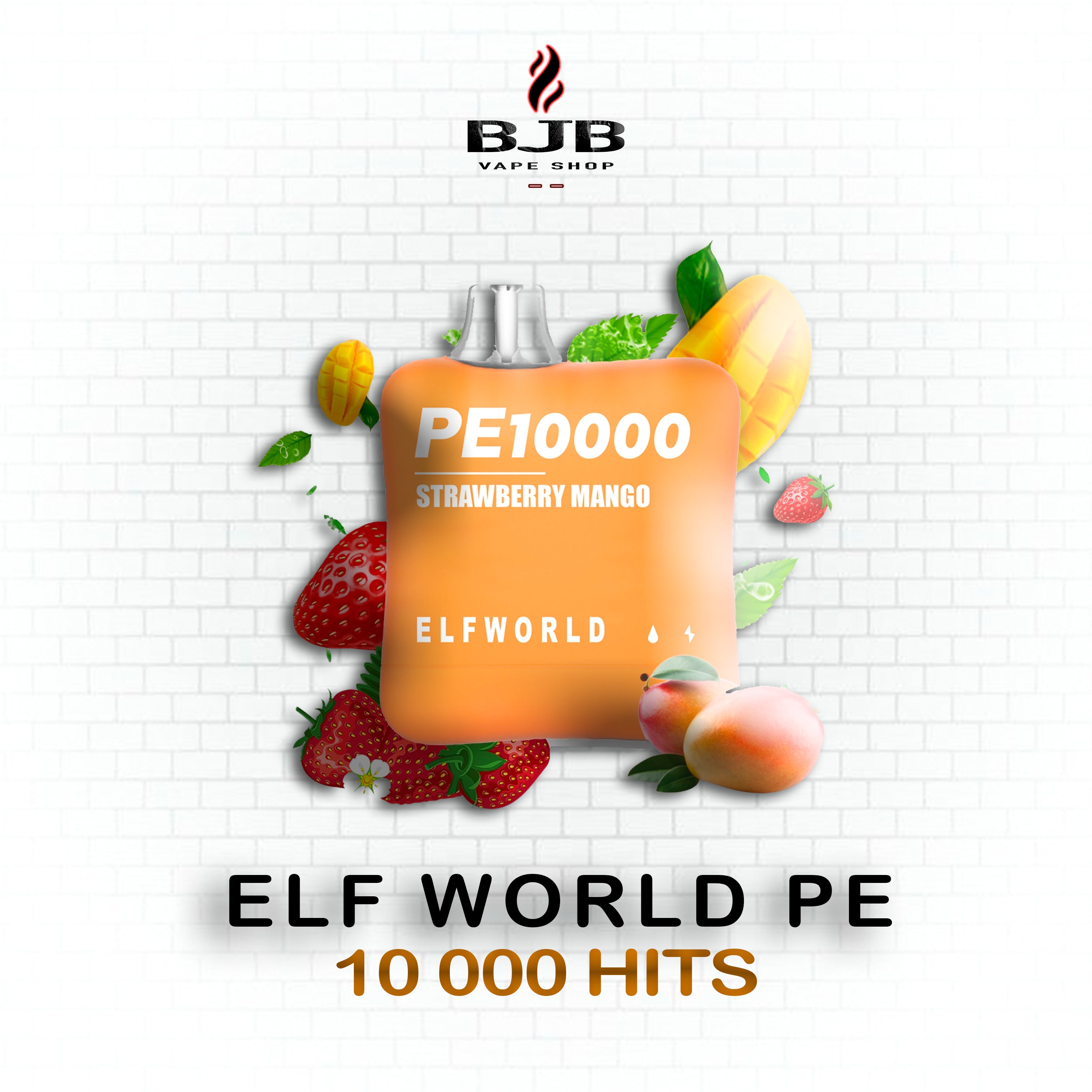 ELF WORLD PE